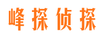 岢岚商务调查